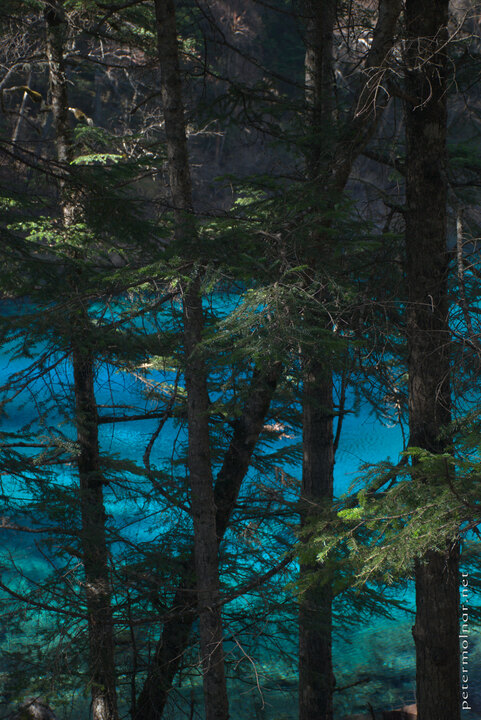 Jiuzhaigou: The Five Coloured Pool