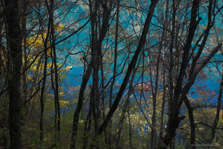 Jiuzhaigou: Rhinoceros Lake 2