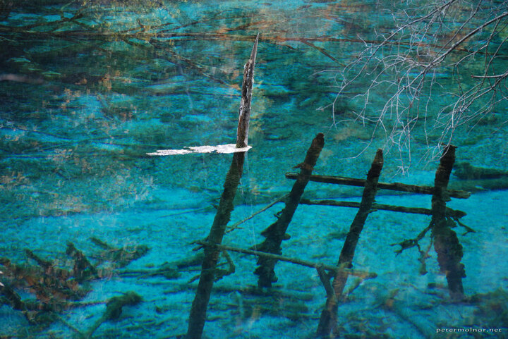 Jiuzhaigou: Peacock Riverbed