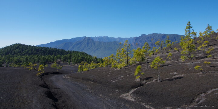La Palma - volcano route next to Enríque