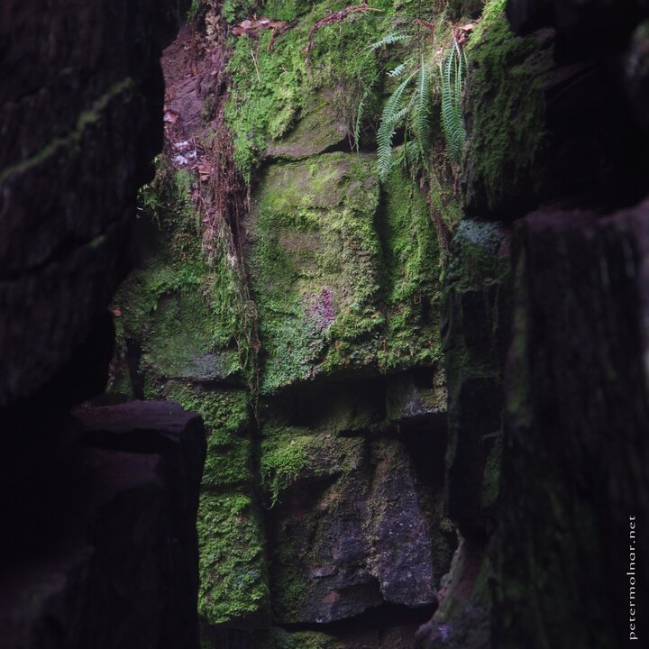 Lud's Church - Rectangulars