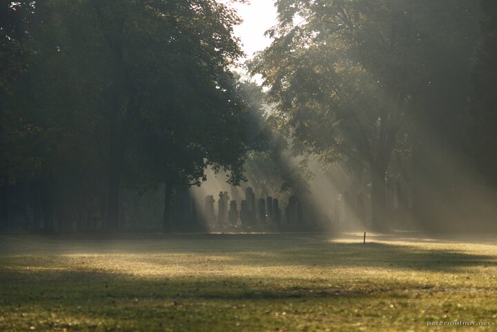 Sunrise - Hungarian National Graveyard