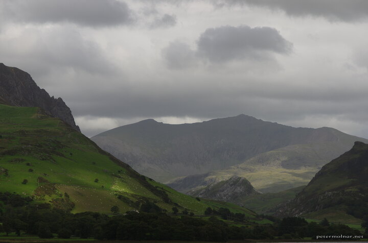 Sheep dotted landscape