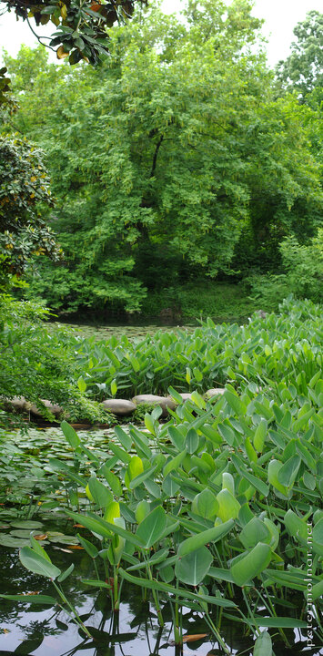 Greens of West Lake