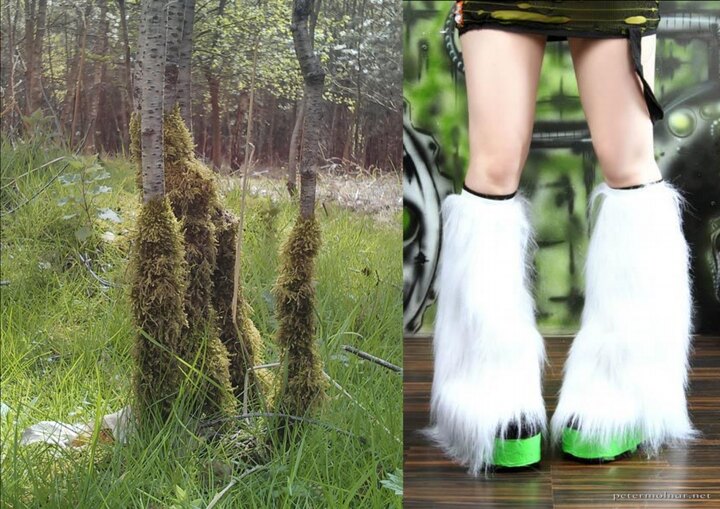 legfur.jpg legfur