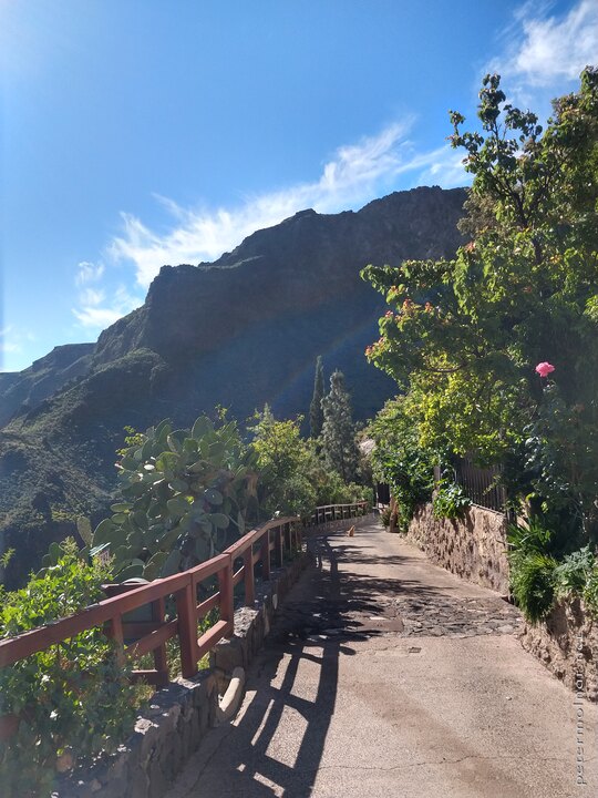The whole rock of Montana de las Tierras is riddled with caves, and most of them are casa-cuevas; this street runs around it