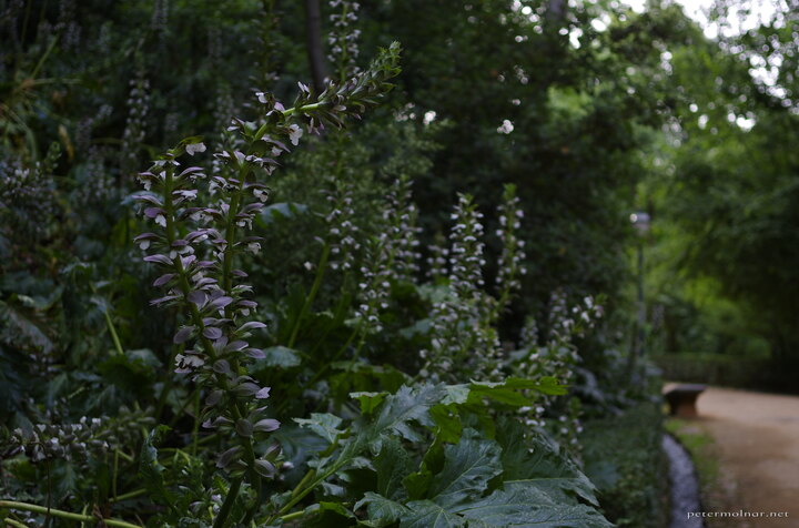 These lined the path that lead to the main entrance