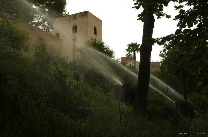 Careful with the morning sprinklers