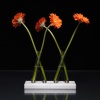 adaptationvases1