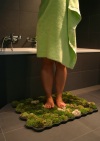moss_carpet